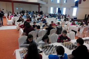 8ο Ομαδικό Σχολικό Πρωτάθλημα Σκάκι Κ.Δ. Μακεδονίας 2015 (Πτολεμαΐδα, 08/02/2015)